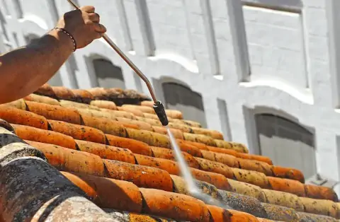 Nettoyage de toitures - Clion